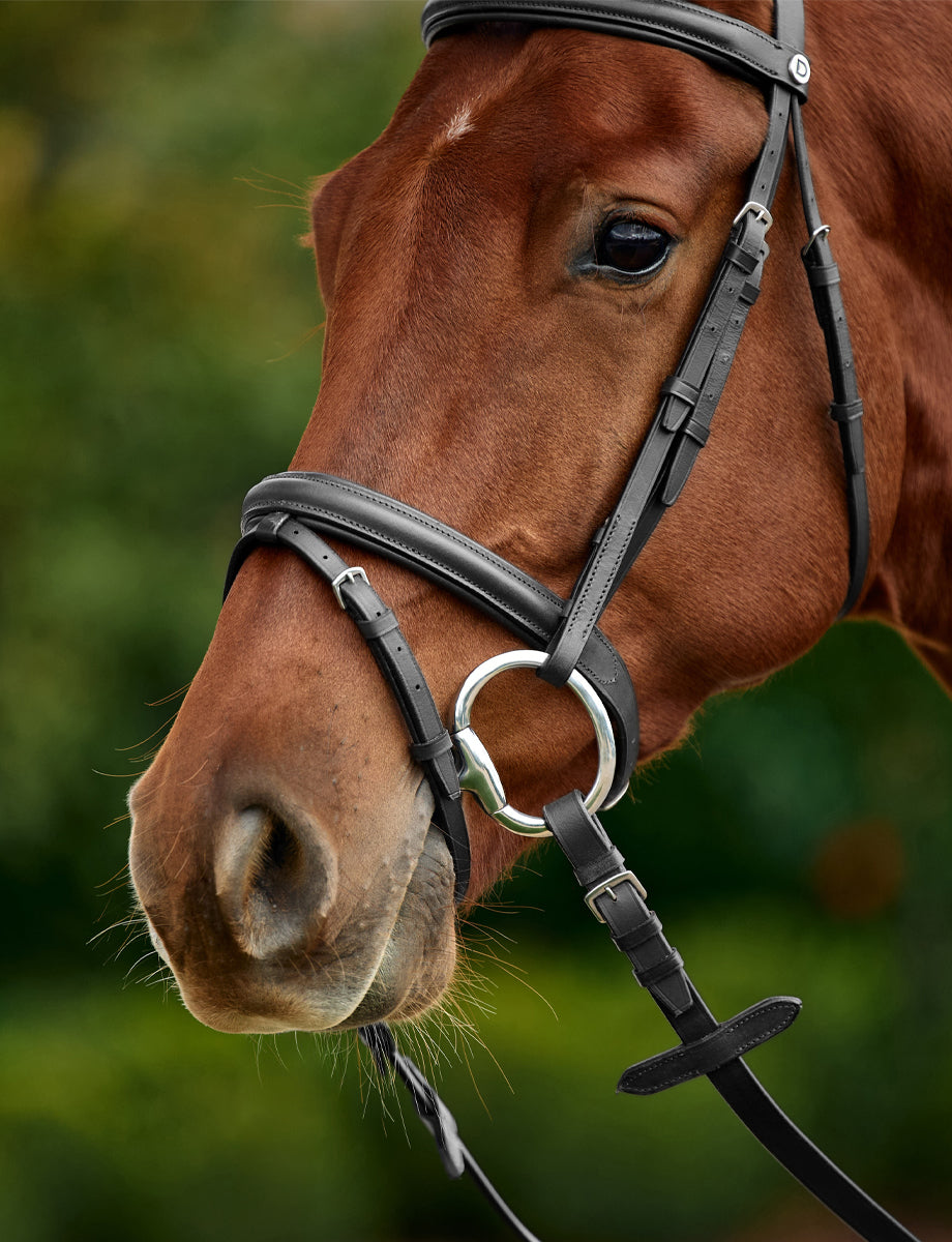 Dublin Padded Flash Bridle