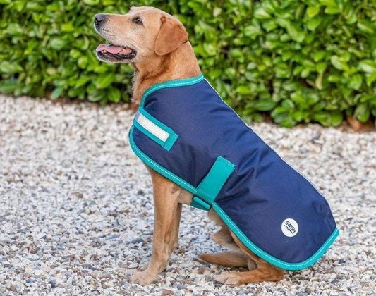Swish Waterproof Dog Coat - Navy