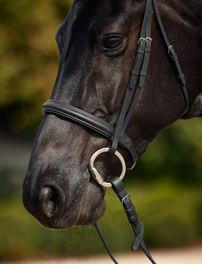 Dublin Padded Cavesson Bridle