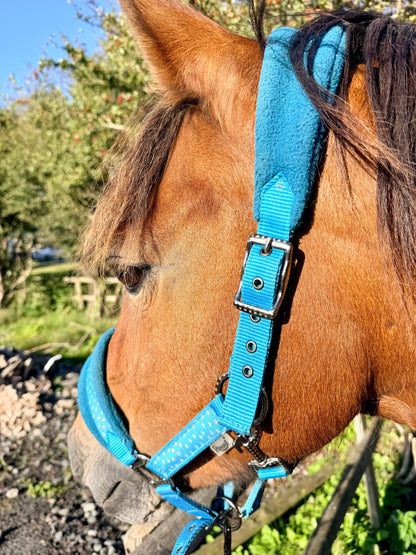 Rhinegold Star Spangled Headcollar & Rope Set