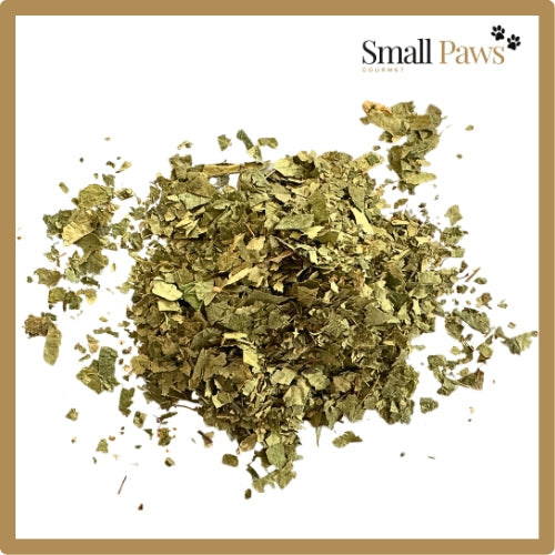 Small Paws Birchleaf