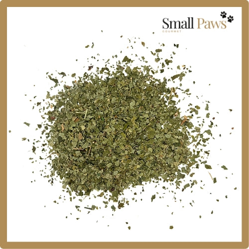 Small Paws Blackcurrant Leaf