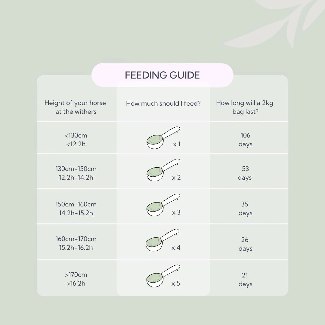 Hilton Herbs – Bye Bye Itch – 2kg