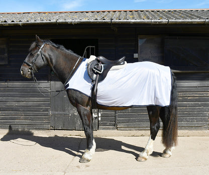 Rhinegold Mesh Ride-On Fly Rug