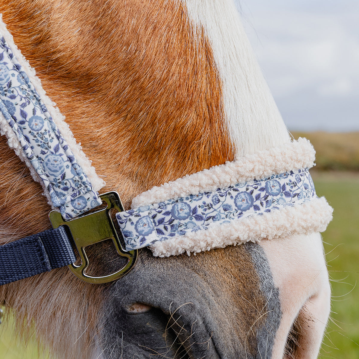 Cath Kidston "Blue Strawberry" Headcollar & Rope Set