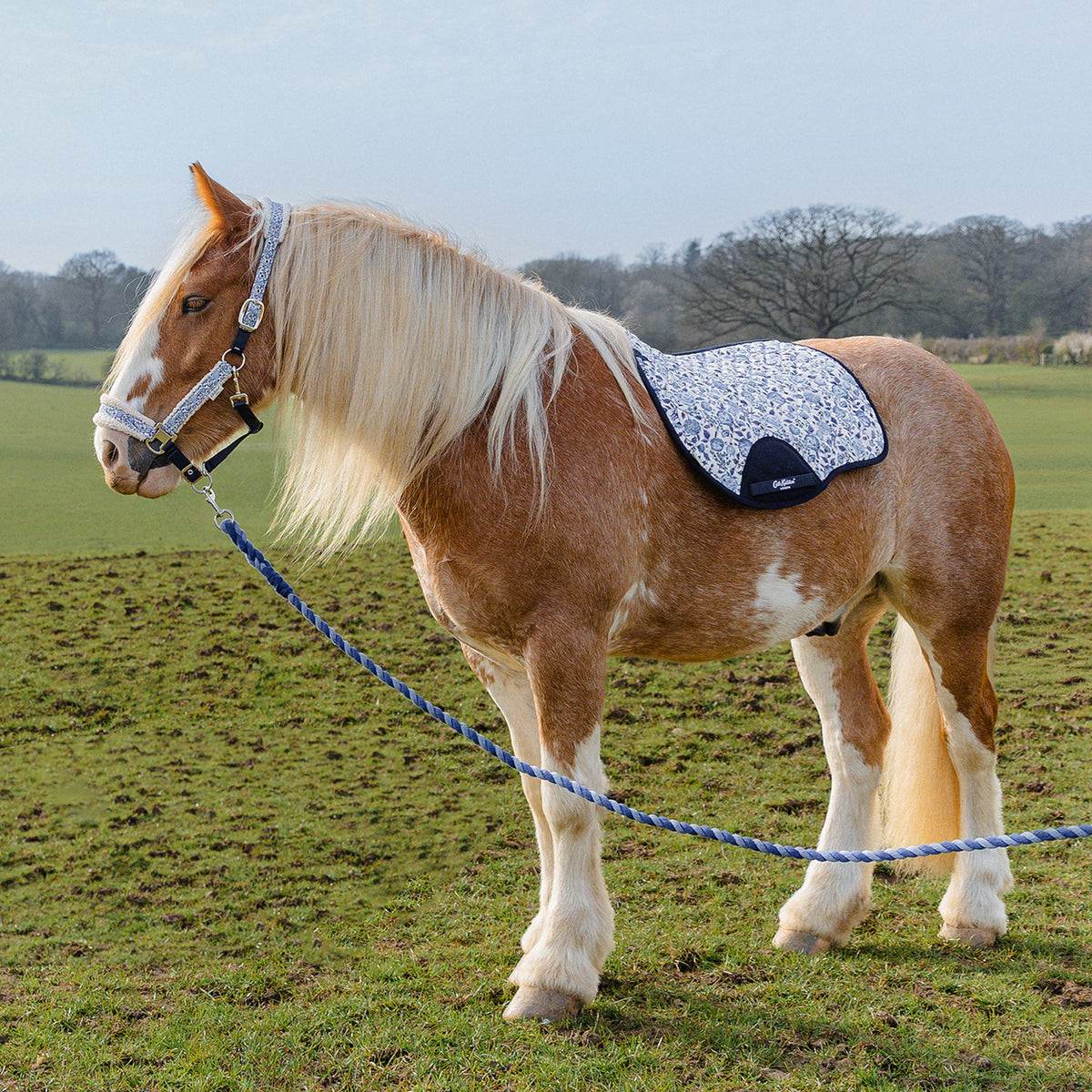 Cath Kidston "Blue Strawberry" Headcollar & Rope Set
