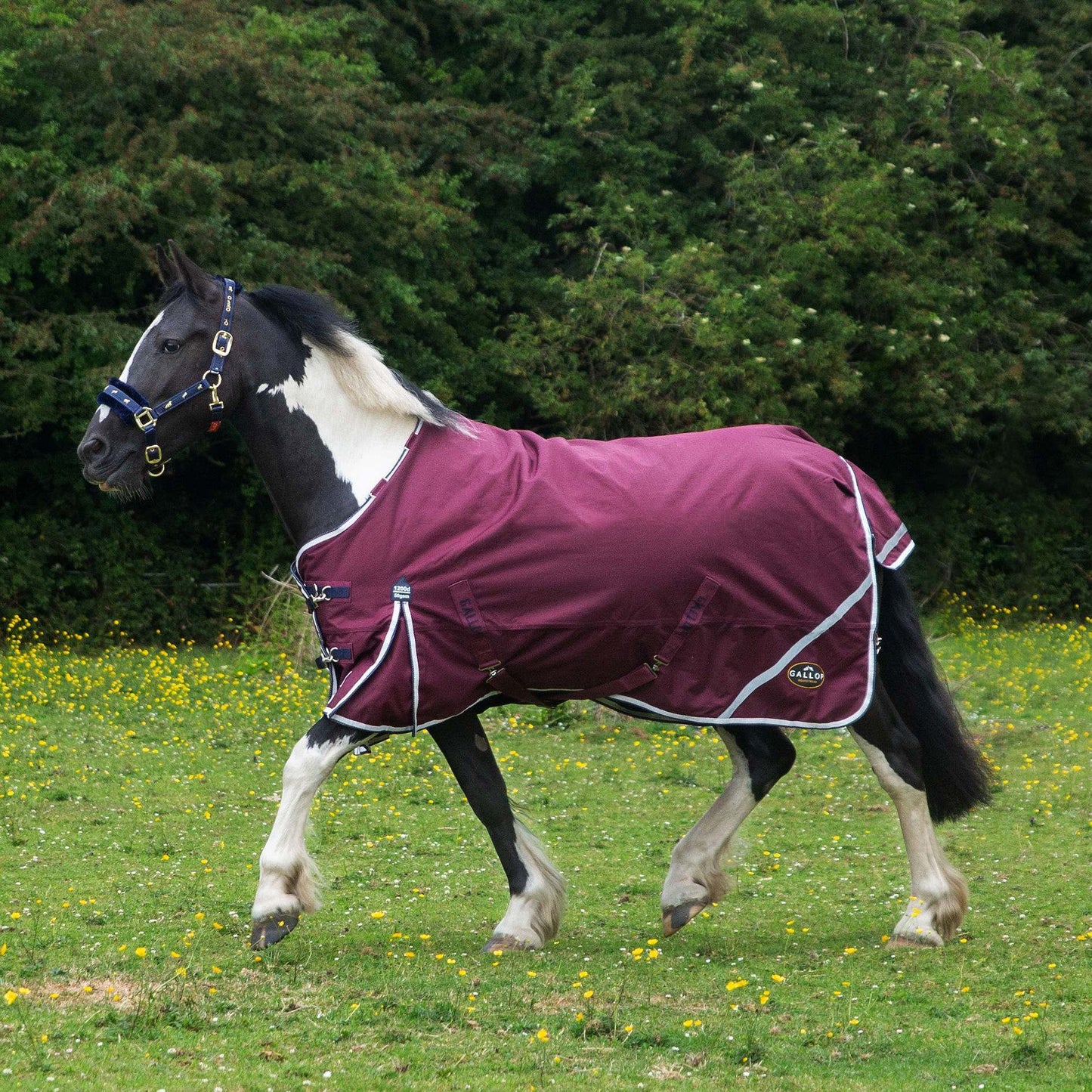 1200D TROJAN Xtra 50g Duraproof 5-Point Turnout