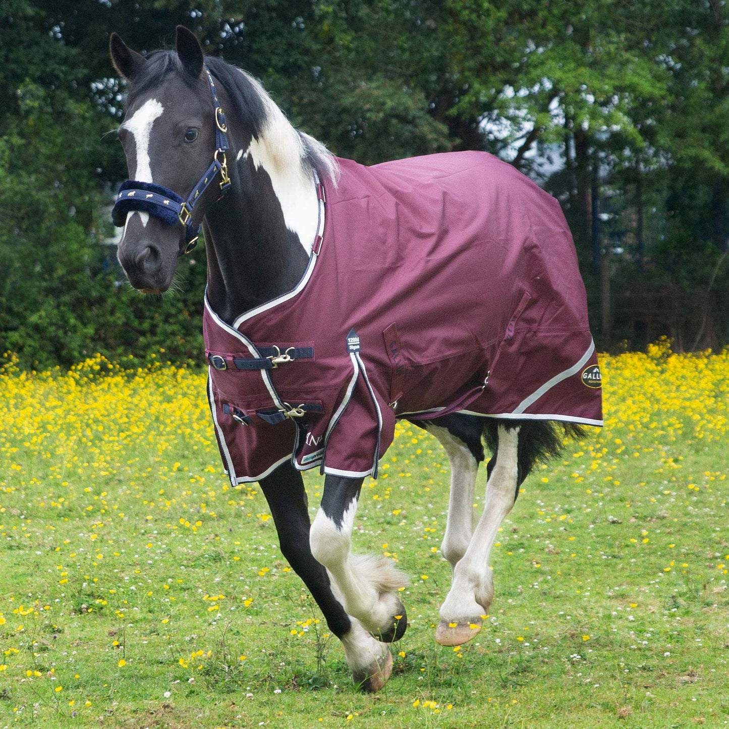 1200D TROJAN Xtra 50g Duraproof 5-Point Turnout