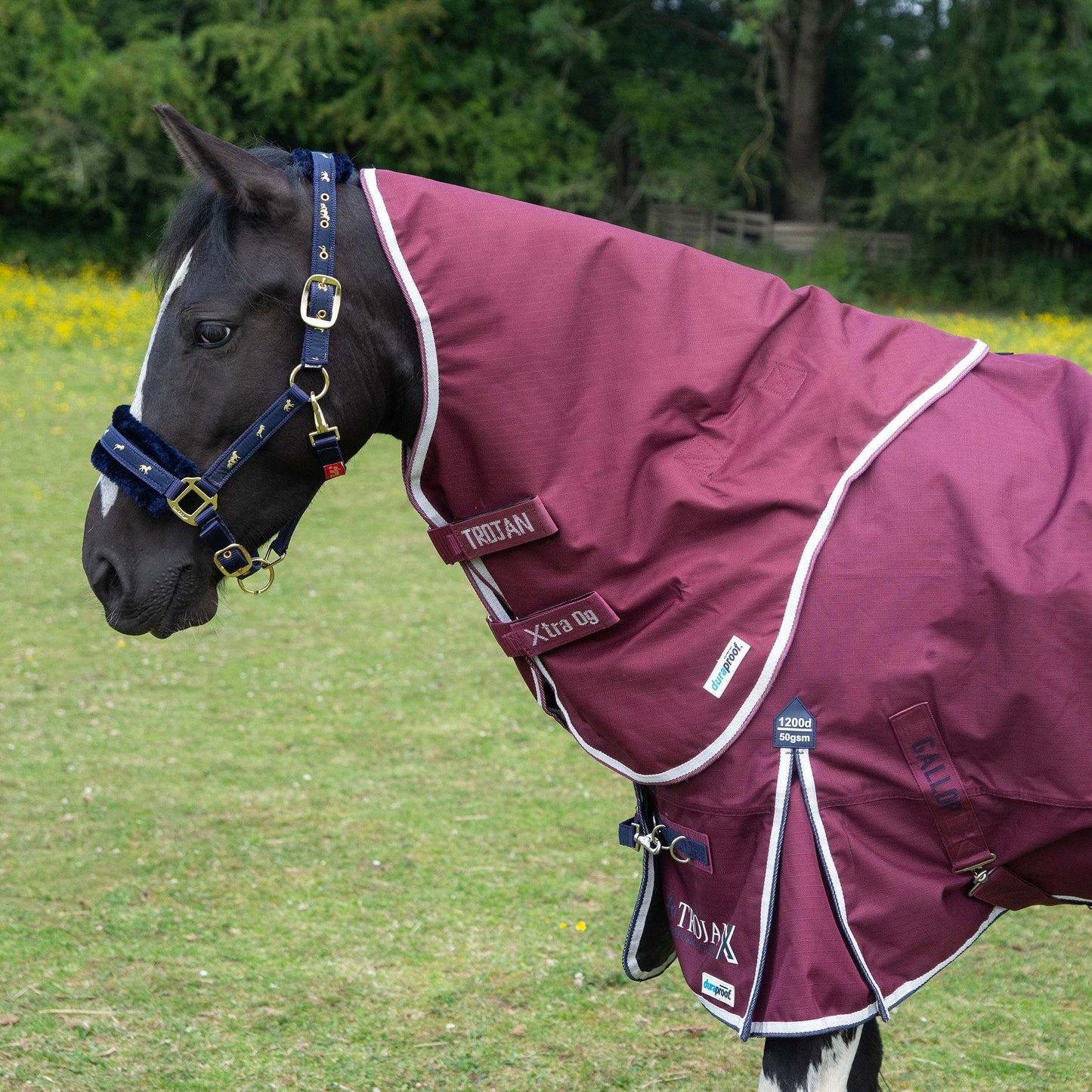 1200D TROJAN Xtra 50g Duraproof 5-Point Turnout