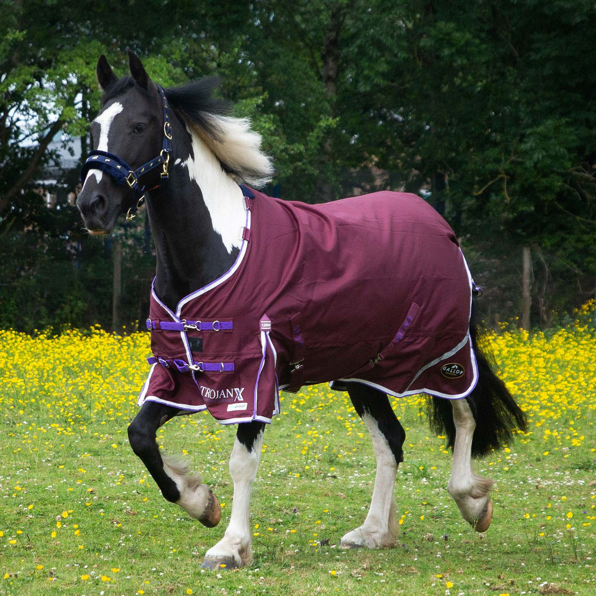 1200D TROJAN Xtra 0g Duraproof 5-Point Turnout