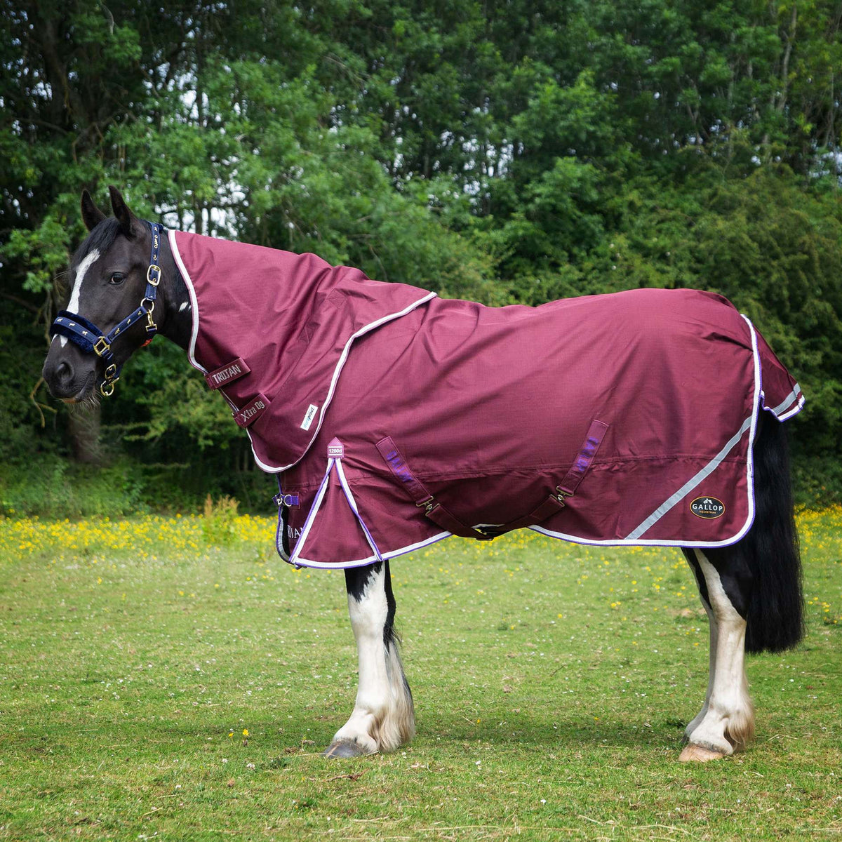 1200D TROJAN Xtra 0g Duraproof 5-Point Turnout