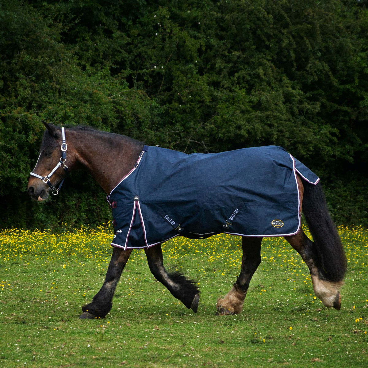 GALLOP-TROJAN 600D Duraproof 50g 5-Point Turnout Rug