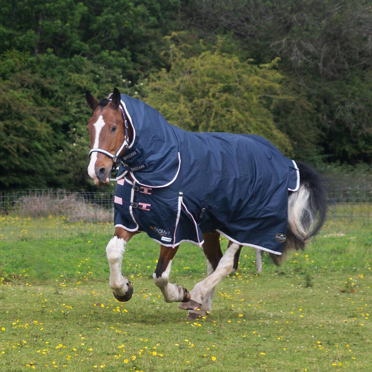 GALLOP-TROJAN 600D Duraproof 50g Combo Turnout