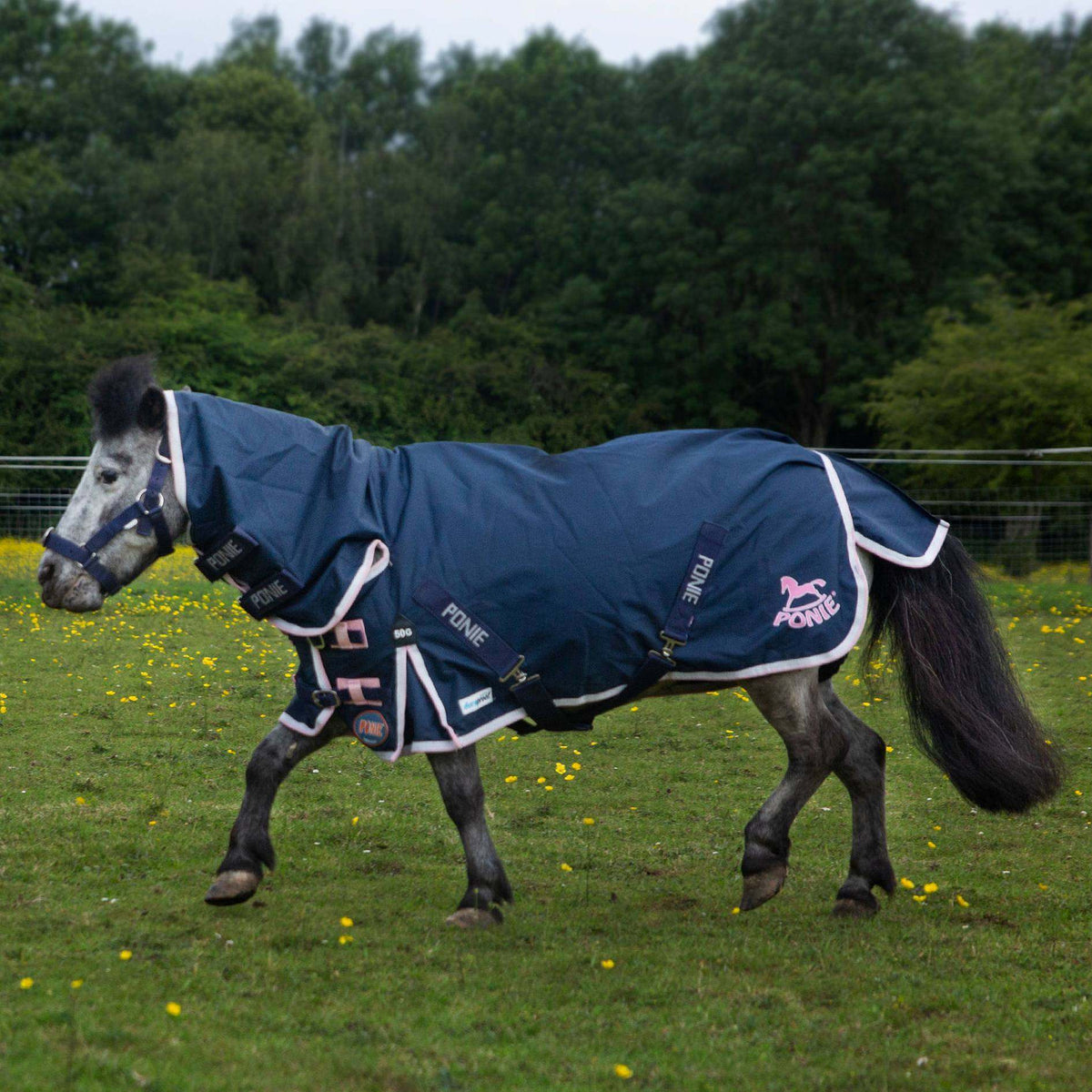 GALLOP-PONIE 50g Duraproof 600D Combo/Fixed Neck Turnout Rug