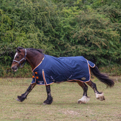 GALLOP TROJAN - 100g 600D Duraproof 5-Point Turnout
