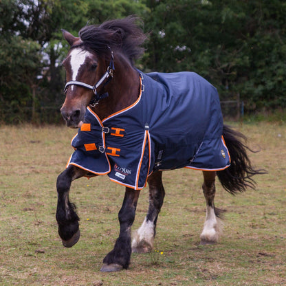 GALLOP TROJAN - 100g 600D Duraproof 5-Point Turnout
