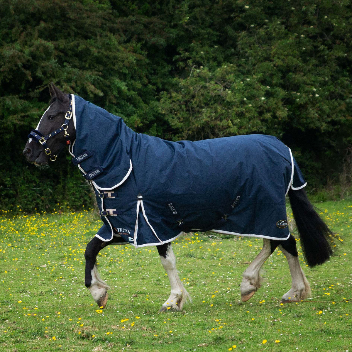 GALLOP TROJAN 100g Duraproof 600D Combo Turnout Rug
