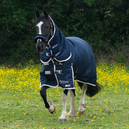 GALLOP TROJAN 100g Duraproof 600D Combo Turnout Rug