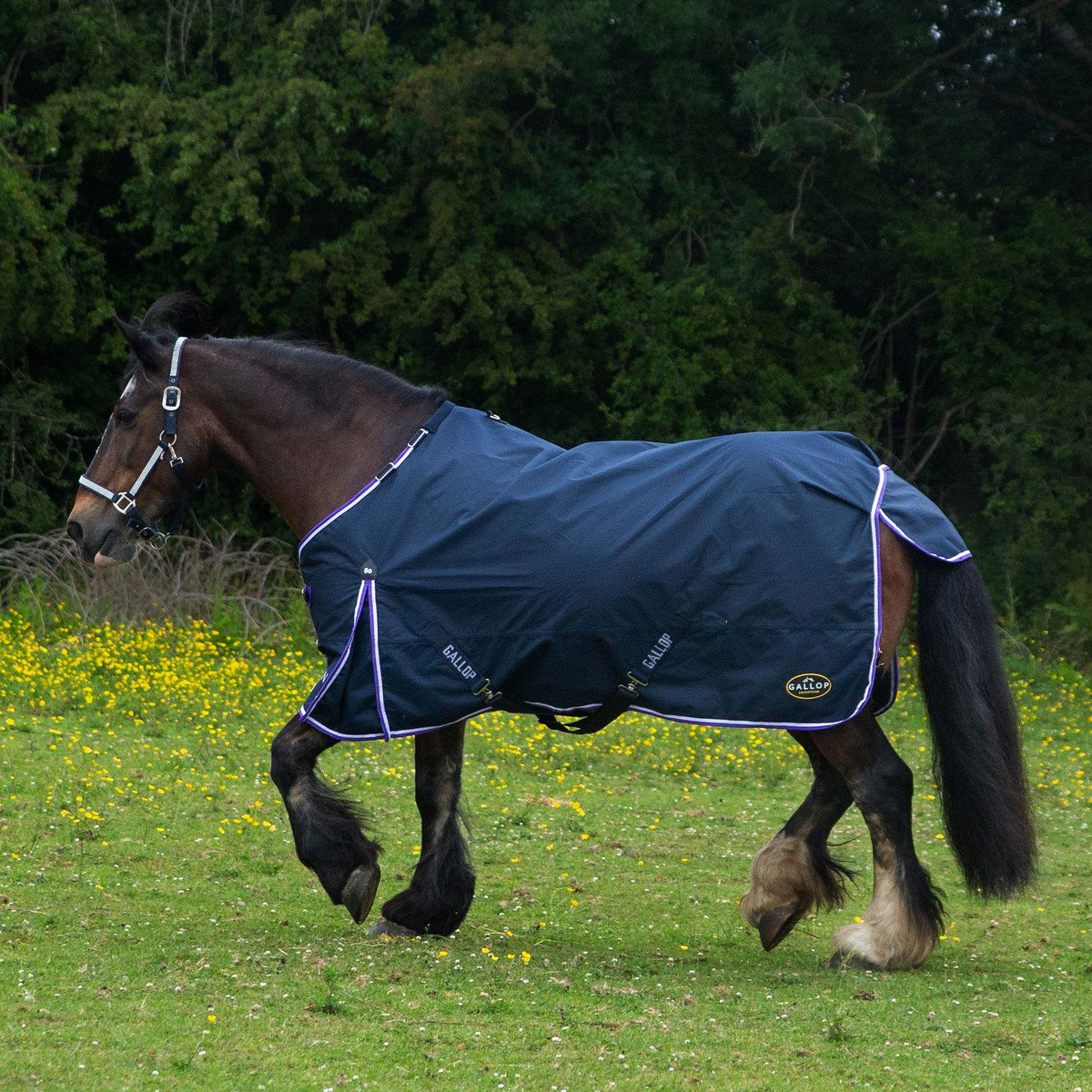 GALLOP TROJAN Duraproof Lightweight/0g 600D Turnout