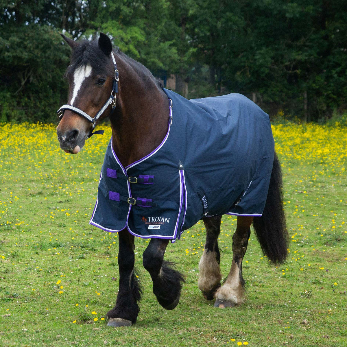 GALLOP TROJAN Duraproof Lightweight/0g 600D Turnout