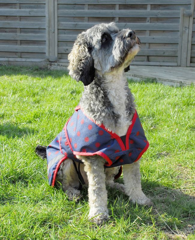 Rhinegold Highland Waterproof Dog Coats
