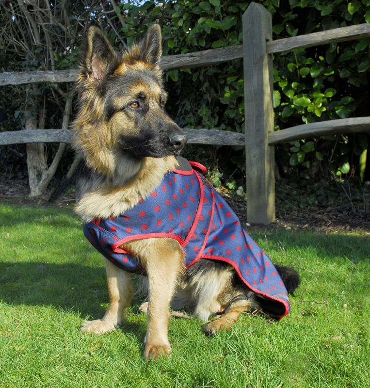 Rhinegold Highland Waterproof Dog Coats