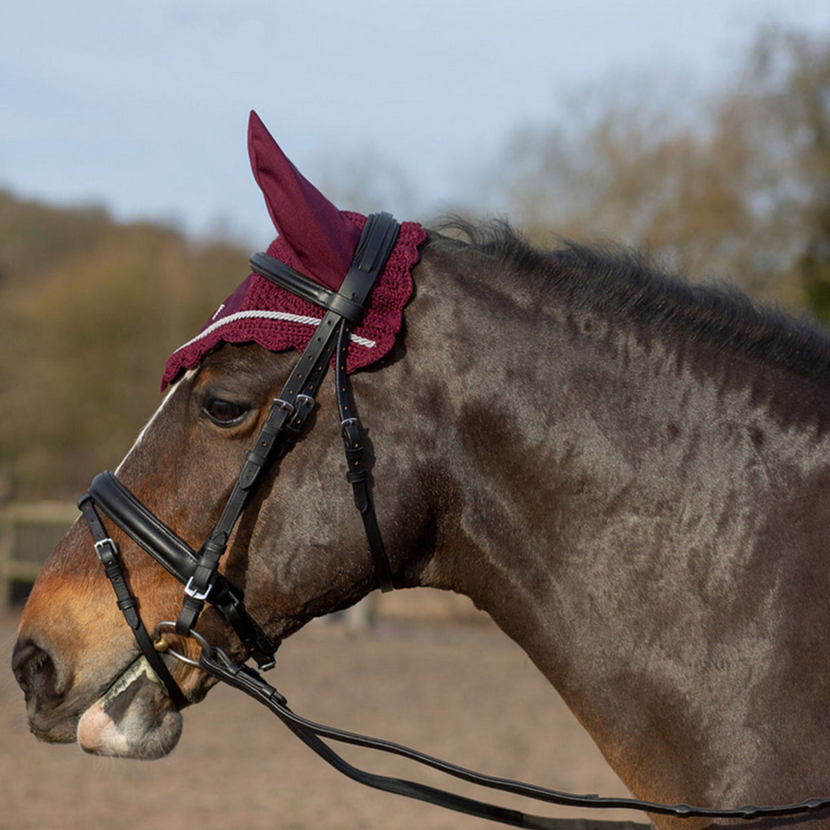 Gallop Classic Fly Veil - Burgundy