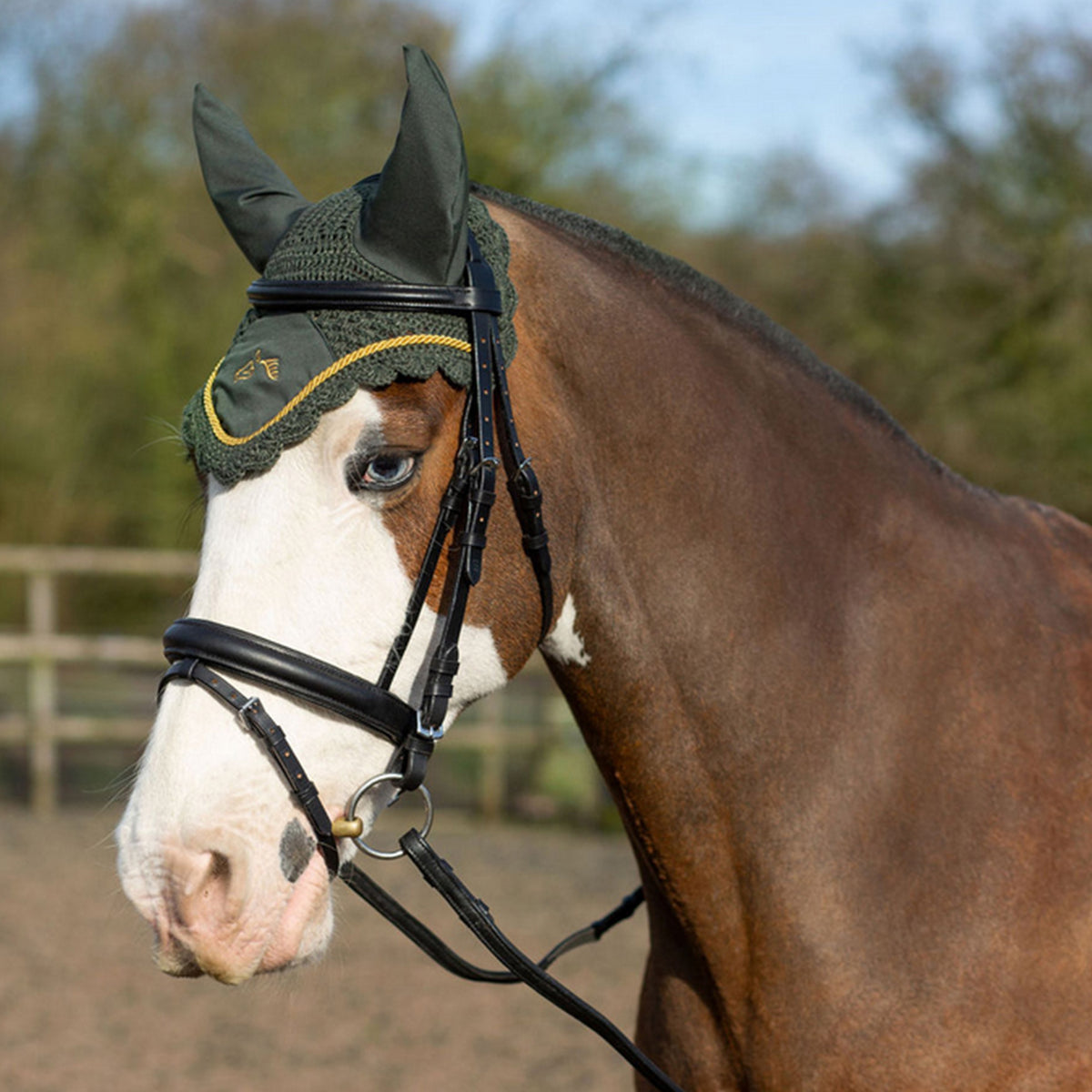 Gallop Classic Fly Veil - Green