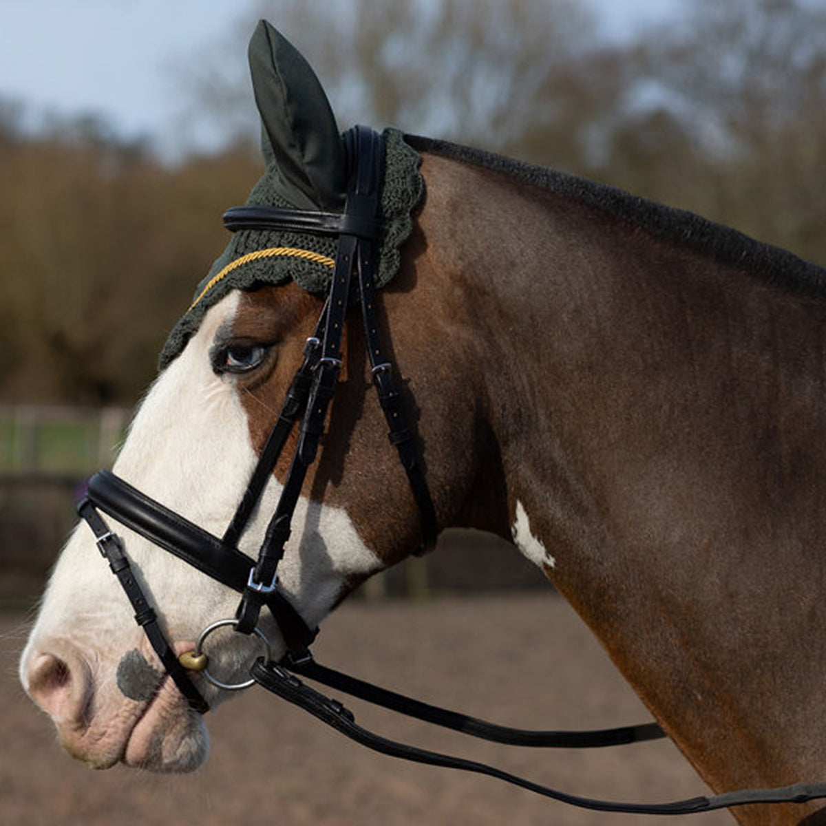 Gallop Classic Fly Veil - Green