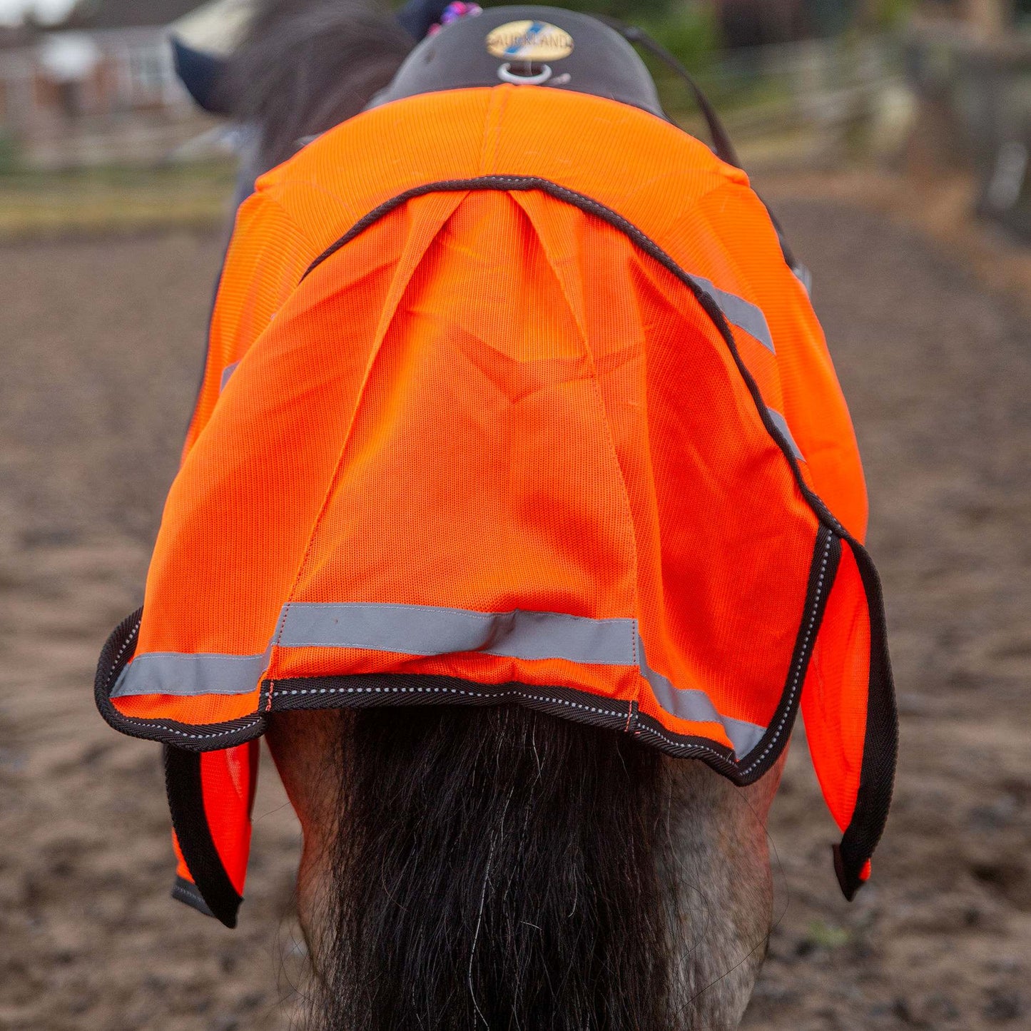 NEW GALLOP TROJAN Retro Reflective Waterproof Exercise Sheet