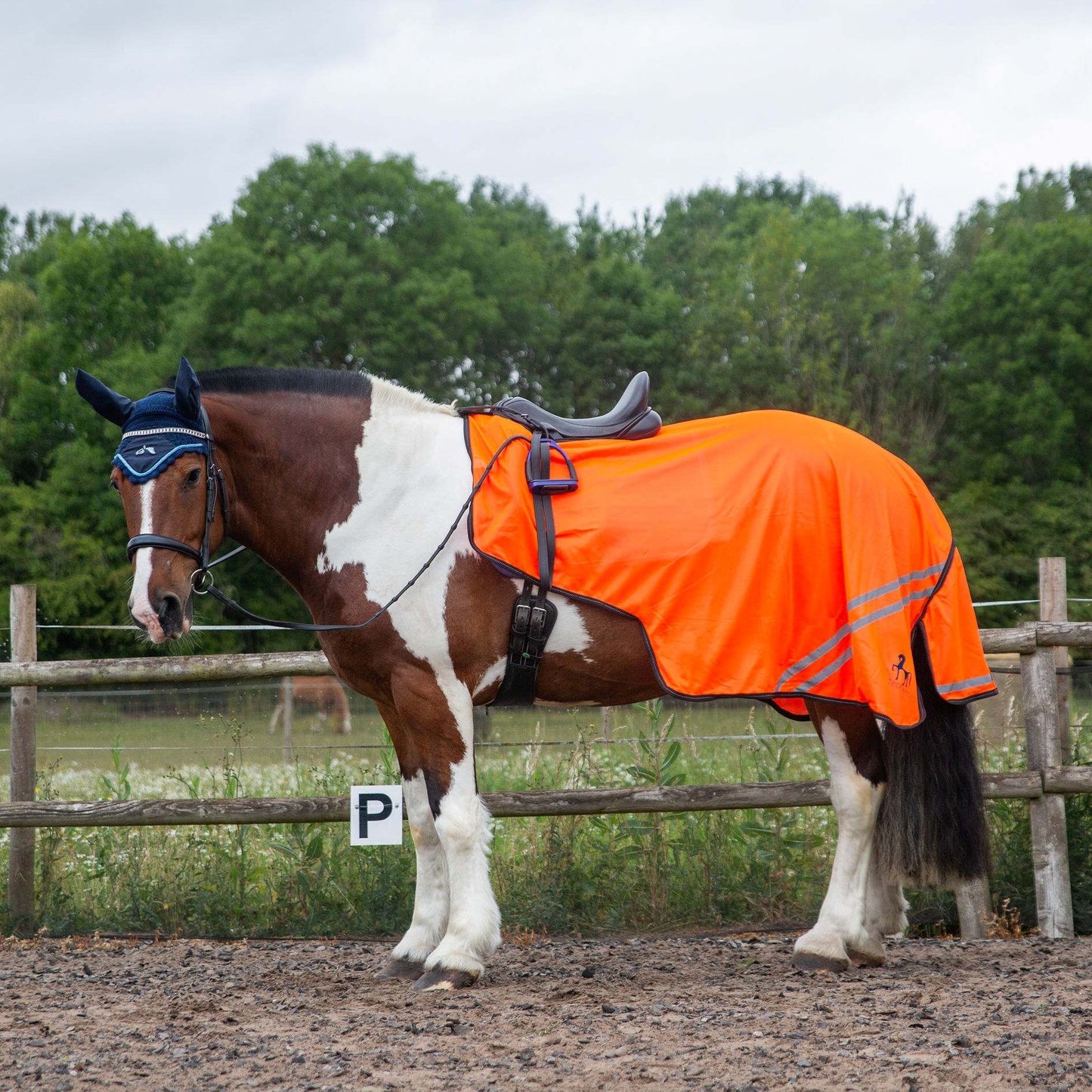 NEW GALLOP TROJAN Retro Reflective Waterproof Exercise Sheet