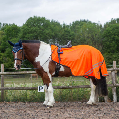 NEW GALLOP TROJAN Retro Reflective Waterproof Exercise Sheet