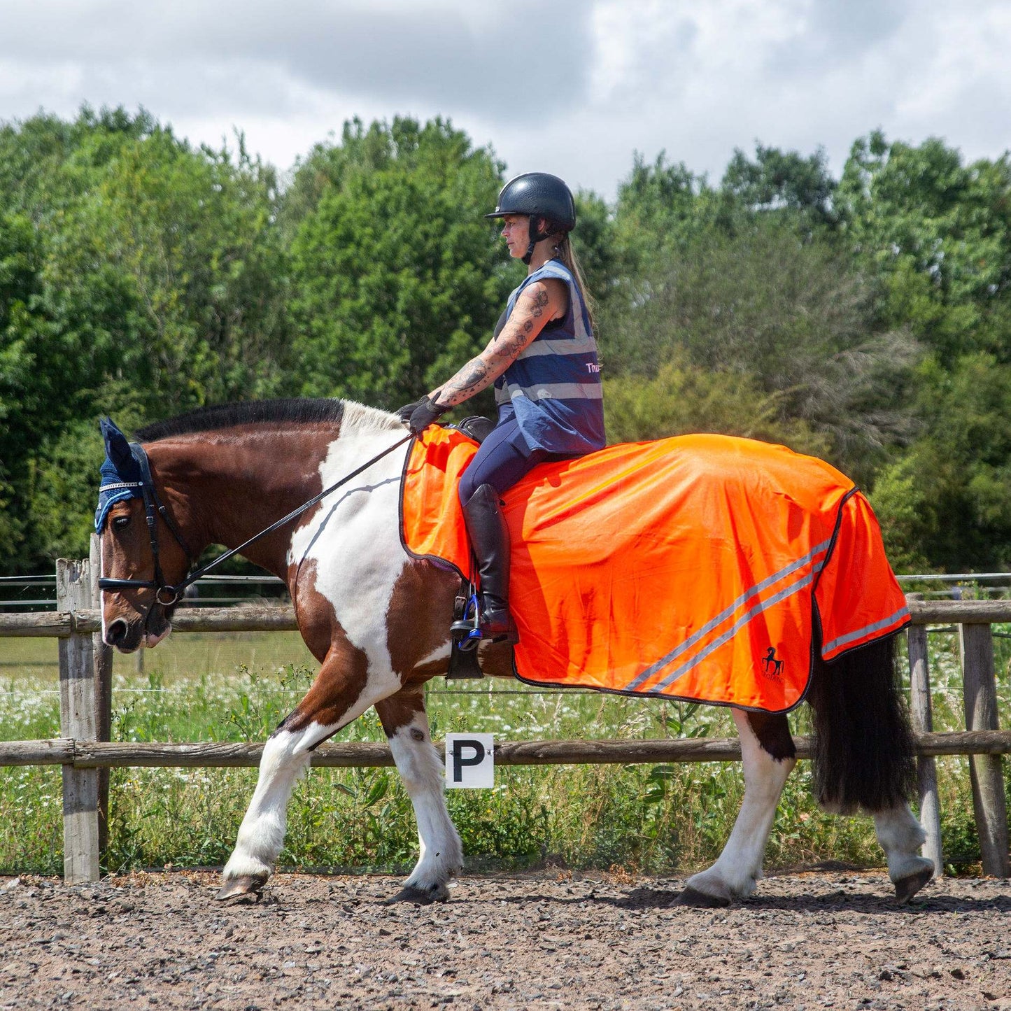 NEW GALLOP TROJAN Retro Reflective Waterproof Exercise Sheet