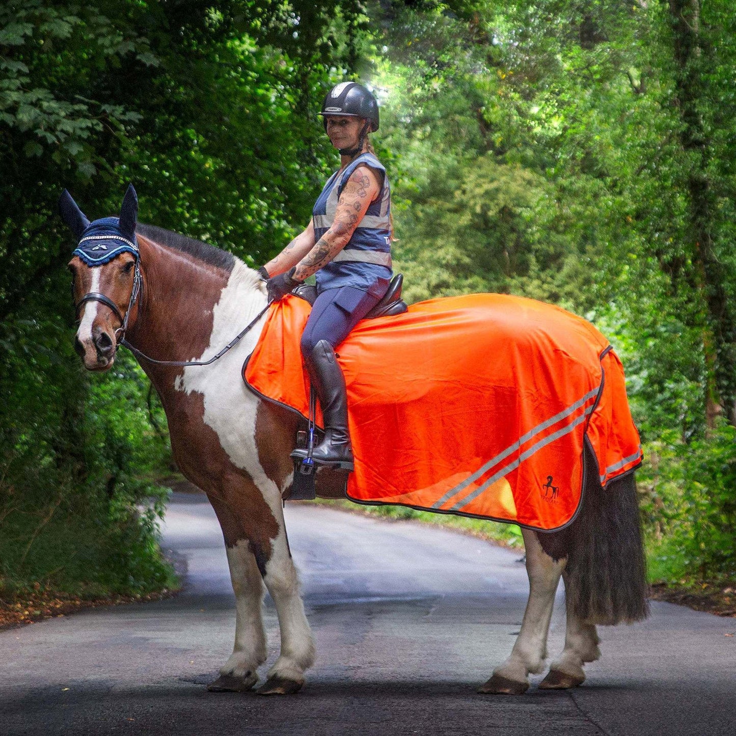 NEW GALLOP TROJAN Retro Reflective Waterproof Exercise Sheet