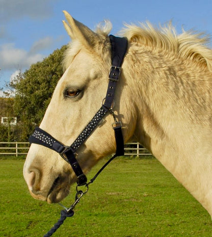 Rhinegold Star Spangled Headcollar & Rope Set