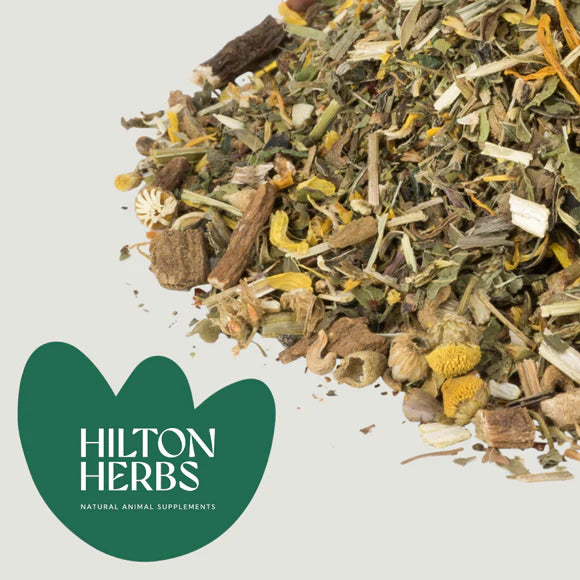 Hilton Herbs – Herb Power – 1kg