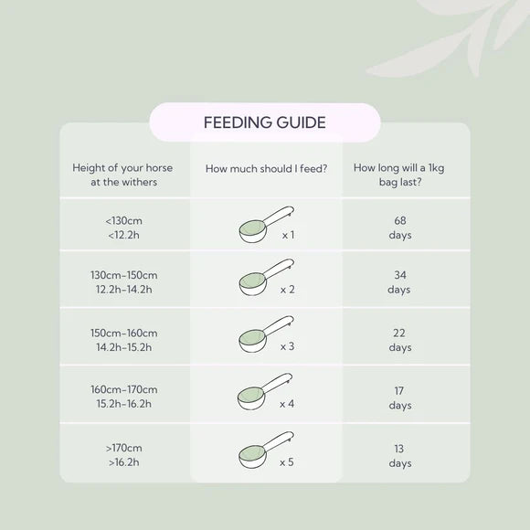 Hilton Herbs – Herb Power – 1kg