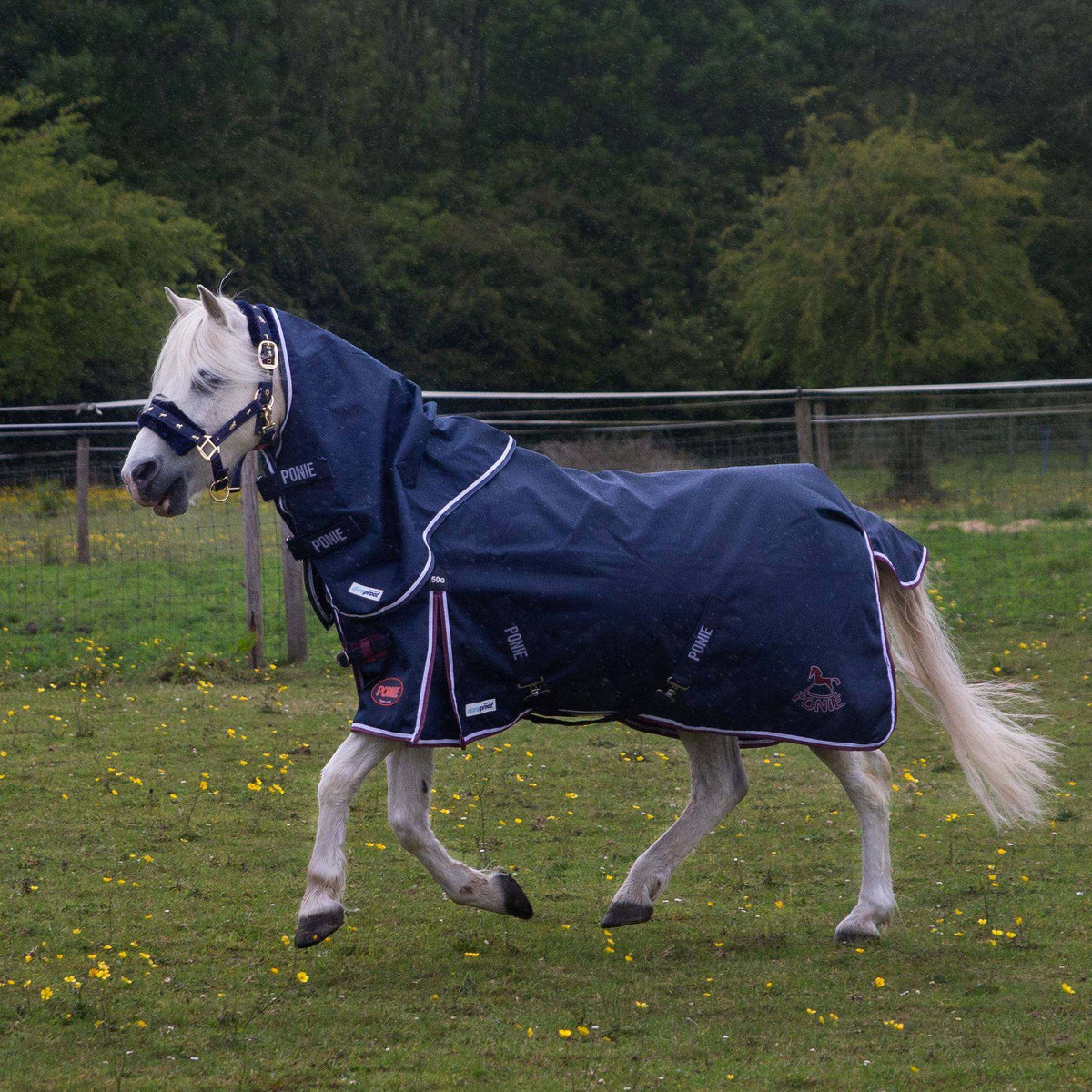 Gallop PONIE 50g Duraproof - 5-Point Turnout Rug