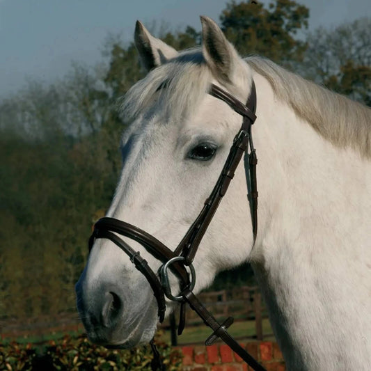 JHL Black Leather Flash Bridle