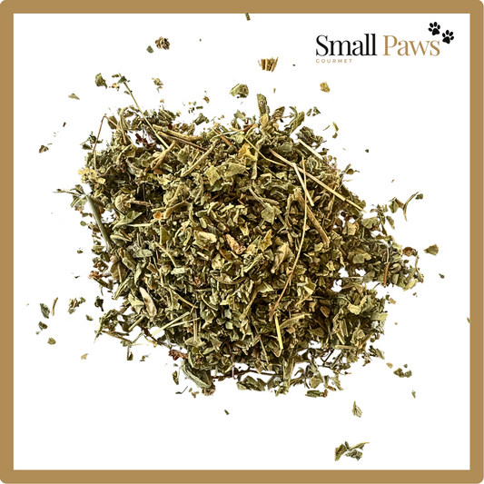 Small Paws Marshmallow Leaf