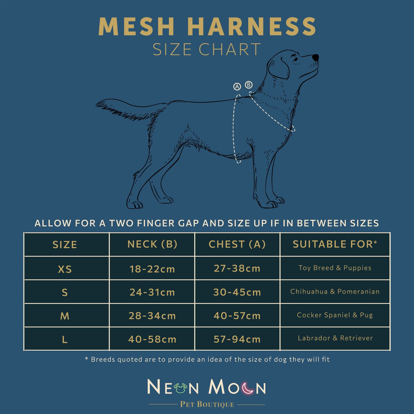 Neon Moon- The Luna Mesh Harness