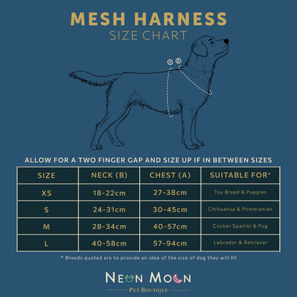 Neon Moon- The Tod Mesh Harness