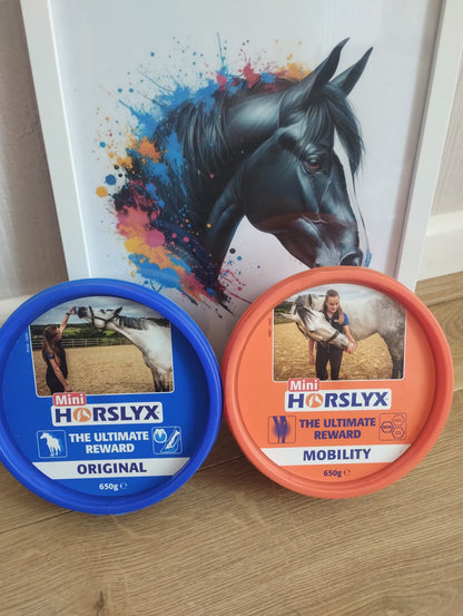 Horslyx Mini