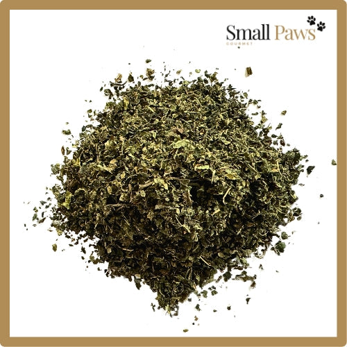 Small Paws Nettle
