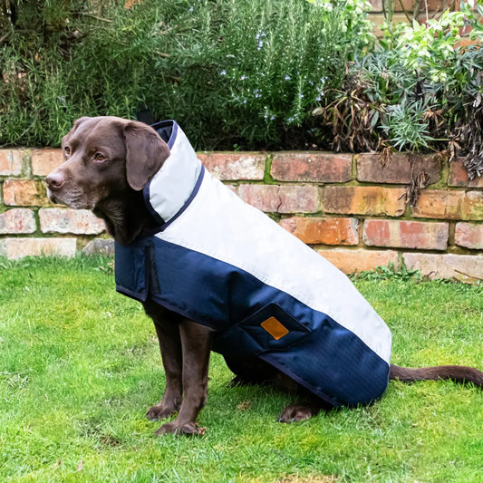 Benji & Flo Waterproof Dog Coat- Navy/ Reflective