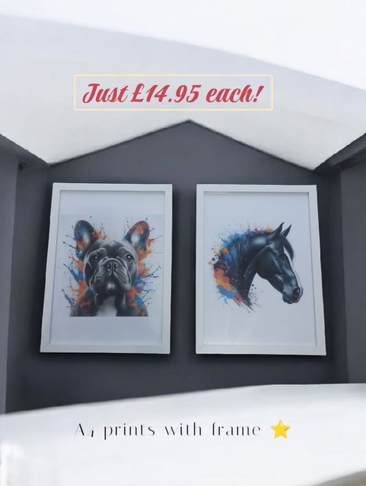 A4 Framed Prints