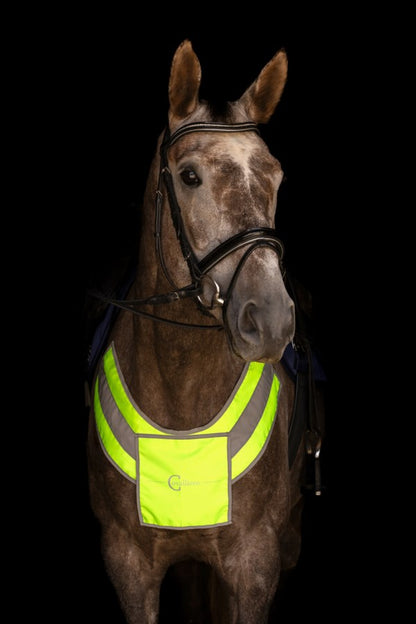 Covalliero Reflective Bundle- Exercise Sheet & Breastplate