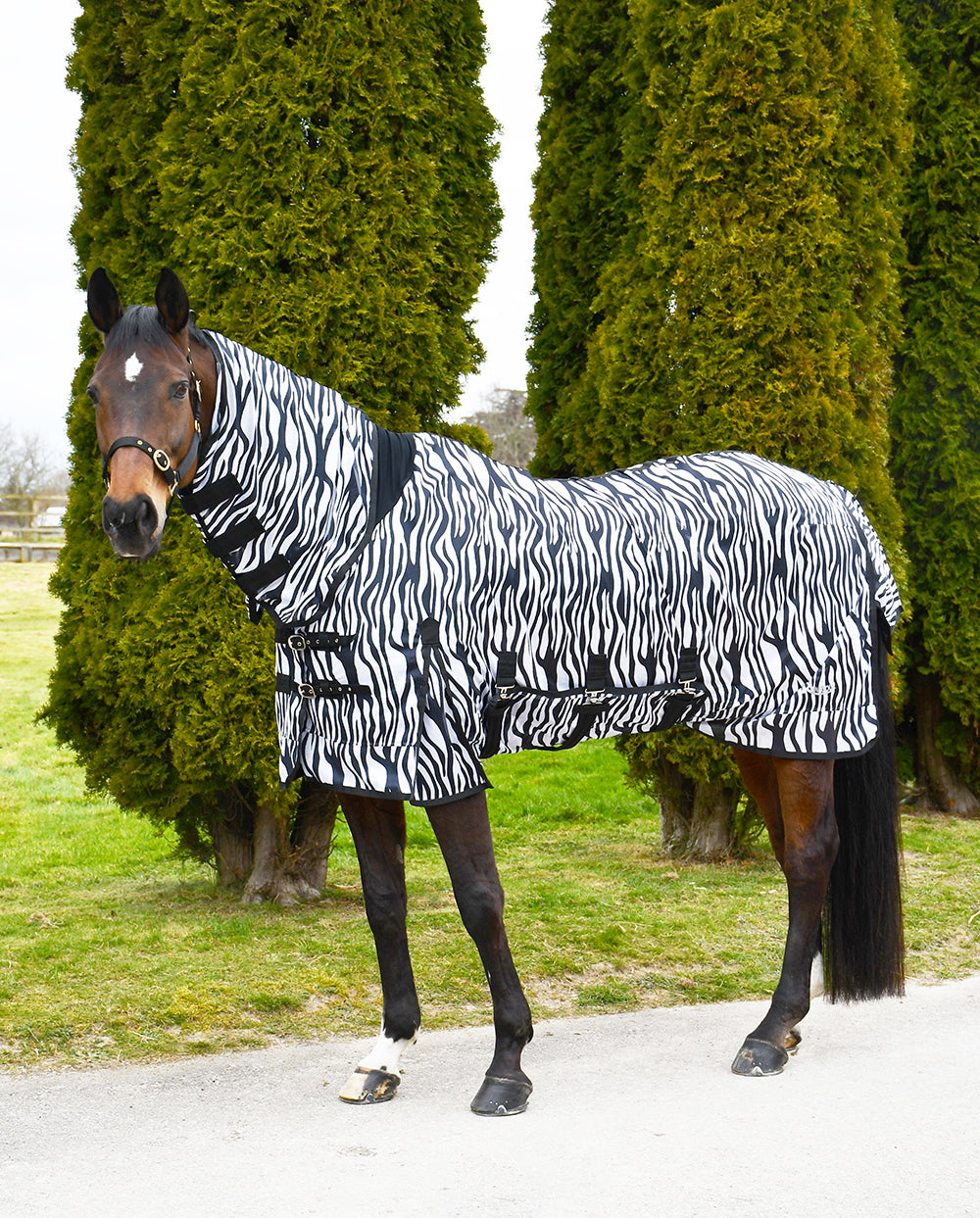 Rhinegold Africa Combo Fly Rug