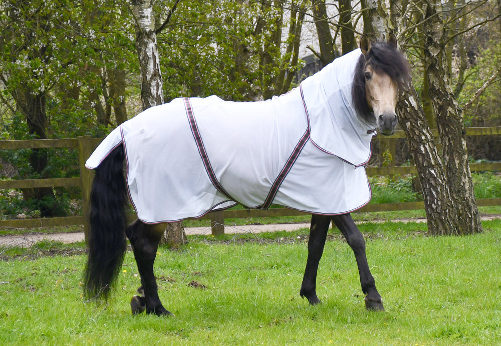 Rhinegold Kenya Mesh Fly Rug with Detachable Neck & Belly Guard