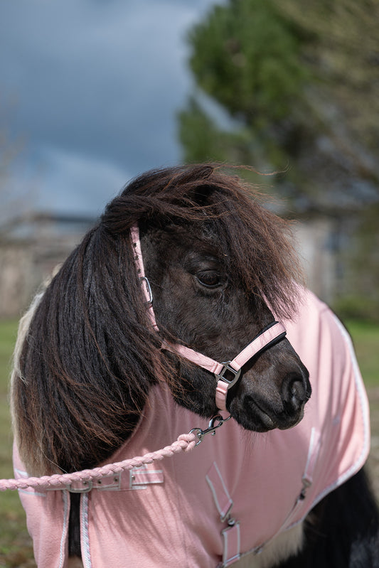 NEW SS26 Rhinegold Mini Sorbet Padded Headcollar And Rope Set